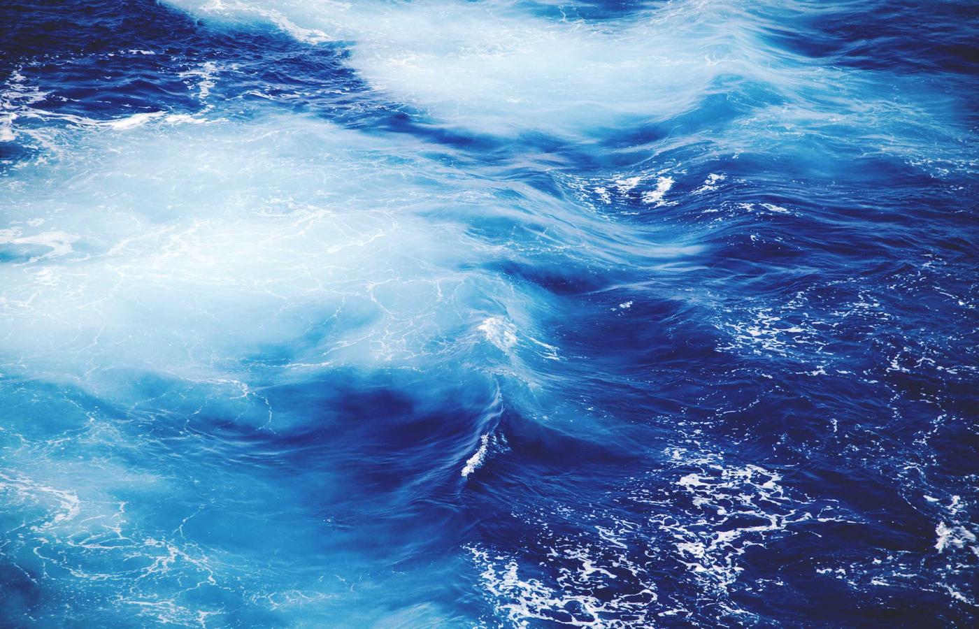 Portretul Ioanei Dumitru