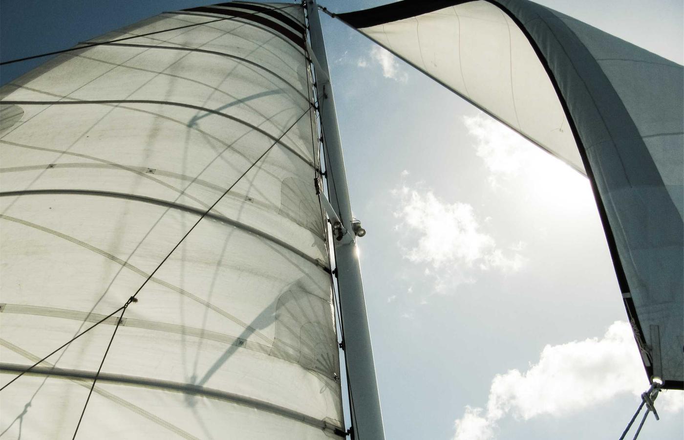 Portretul lui Andrei Vasilescu