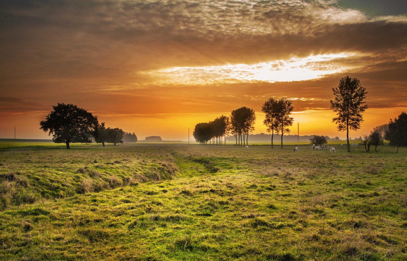 Portretul Mariei Constantinescu